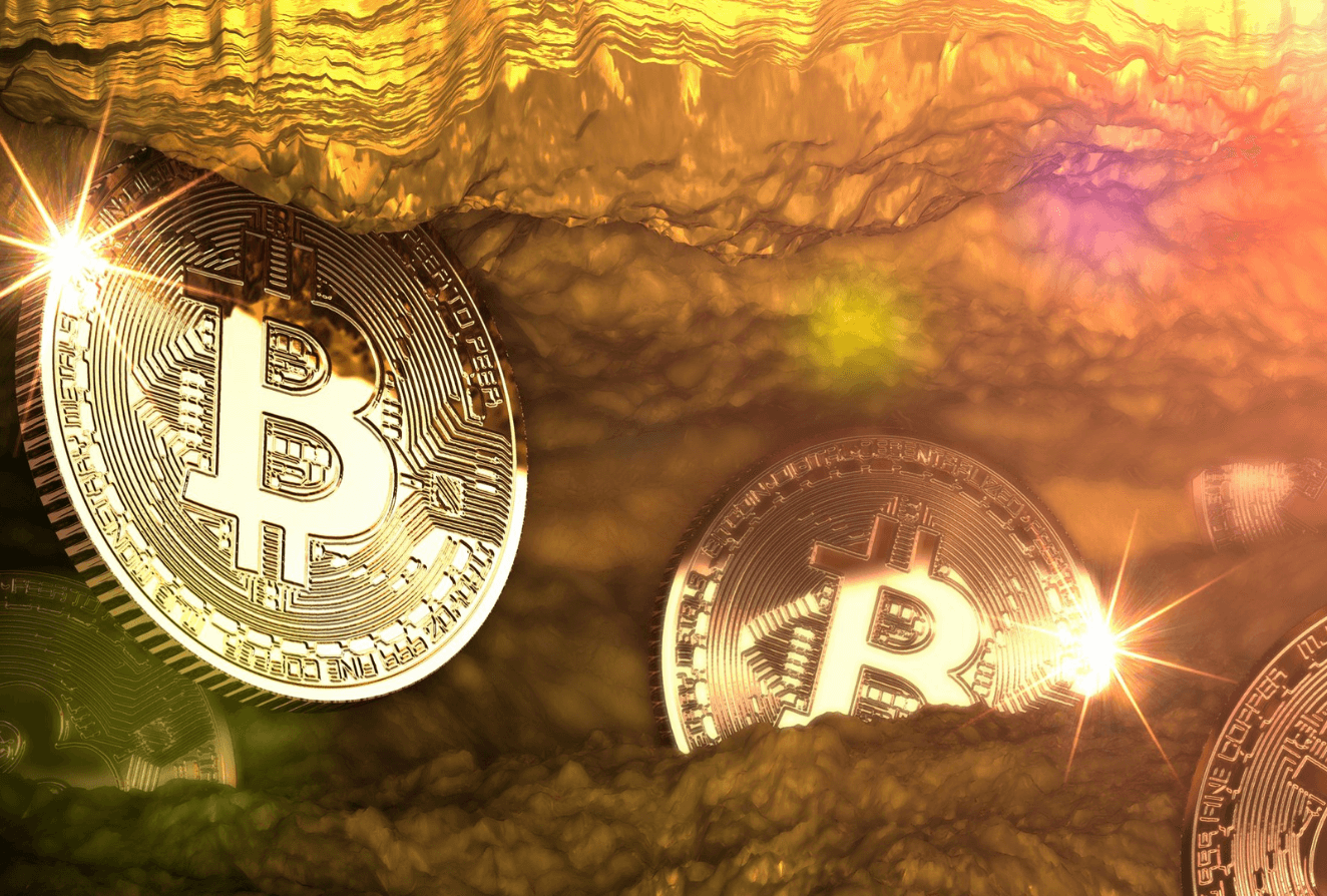 Bitcoin Owners Expect a Rebound to $55,000 in Six Months, Study Finds