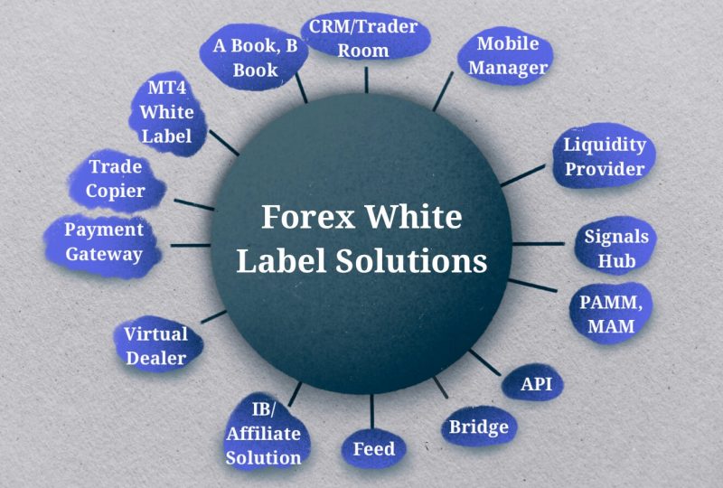 Forex White Label Solution