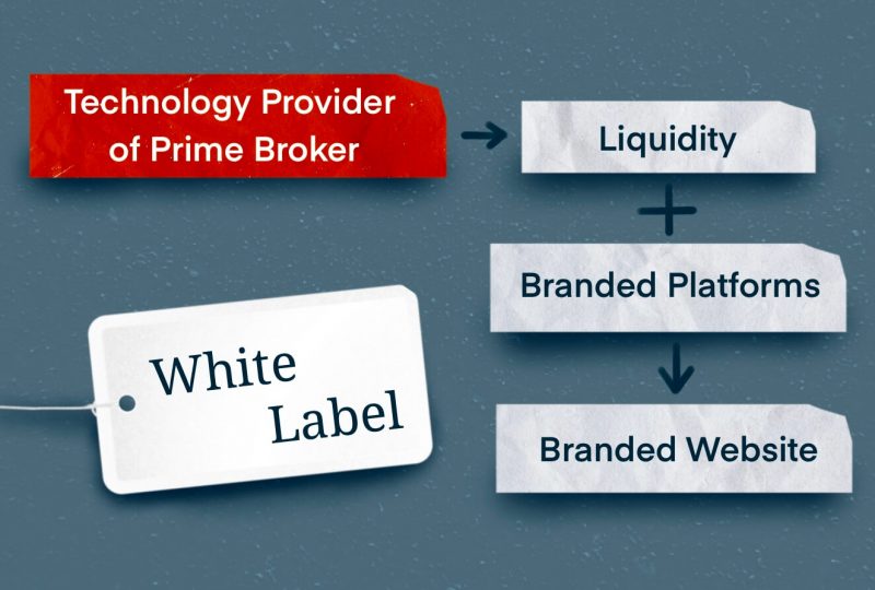The Forex White Label program