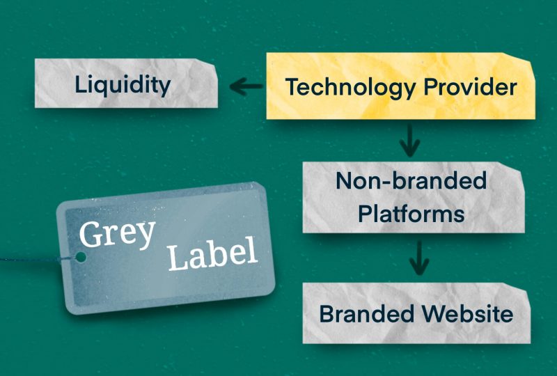 Grey Label Forex Model