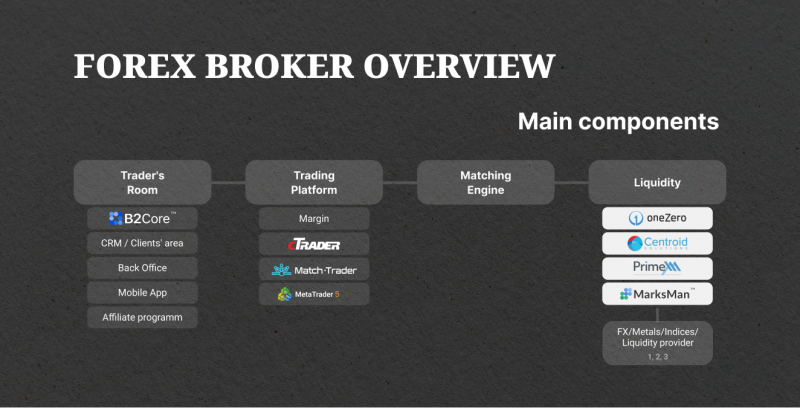 How to Build a Profitable Forex Brokerage in 2024?
