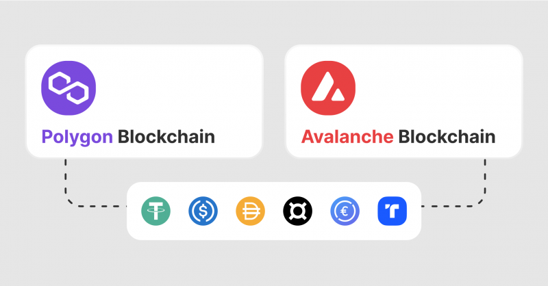 Extended Blockchain Support with Polygon and Avalanche