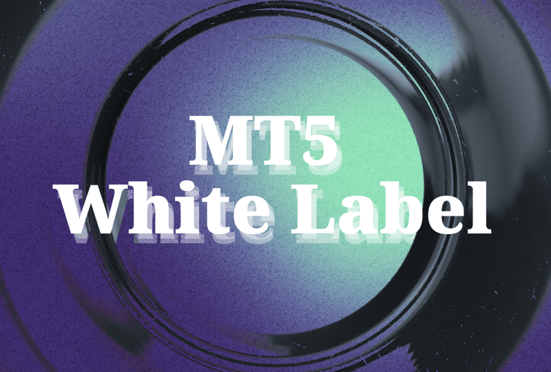 Setting Up a Brokerage Based on MT5 White Label Model
