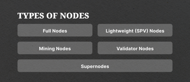 types of crypto nodes