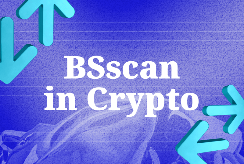 A Guide to Mastering BscScan