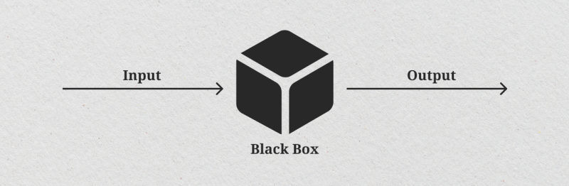 Black box AI