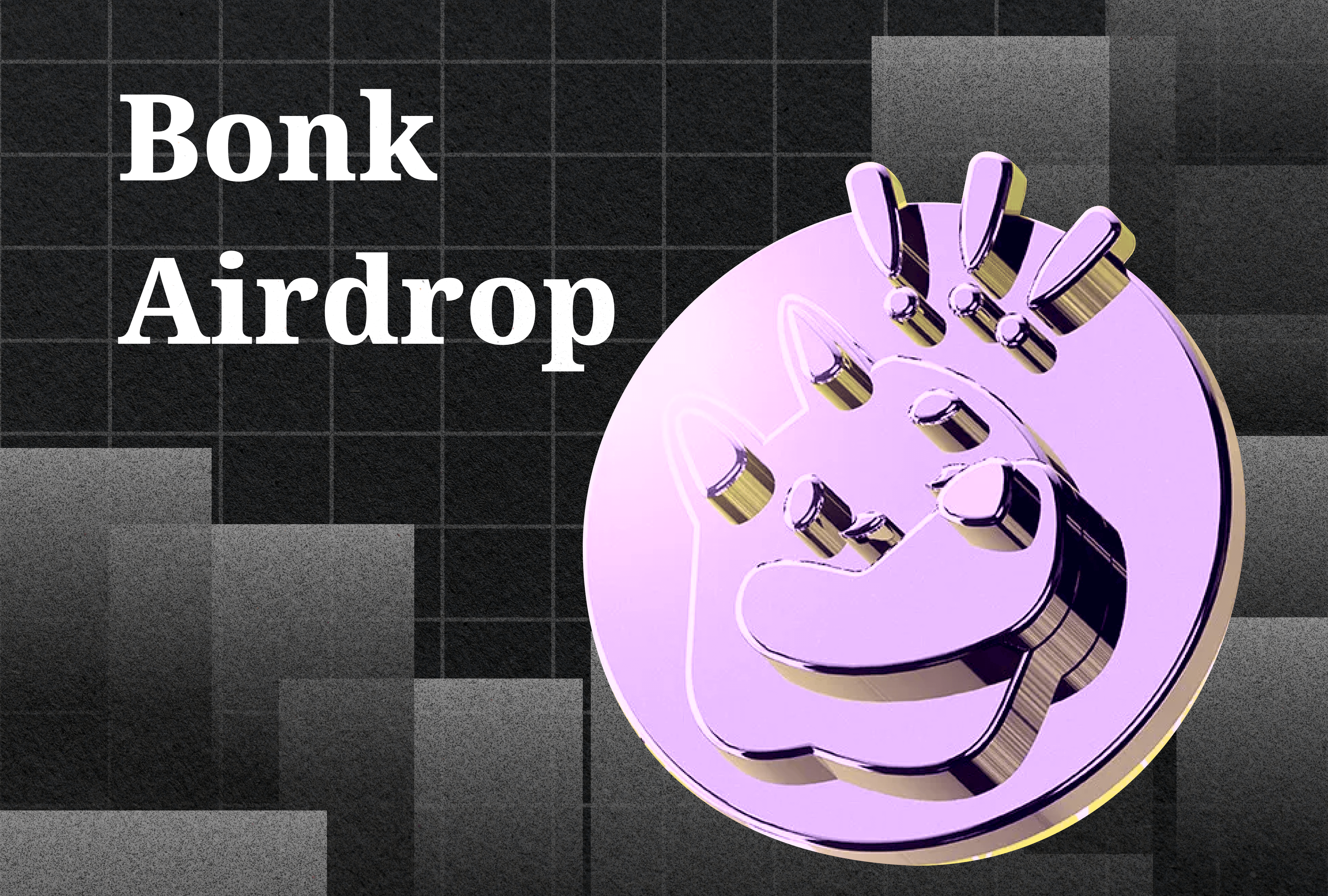 Bonk Airdrop Guide: How to Claim Tokens
