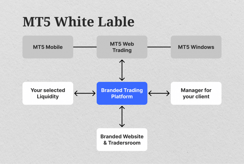 How Does Forex WL Work?