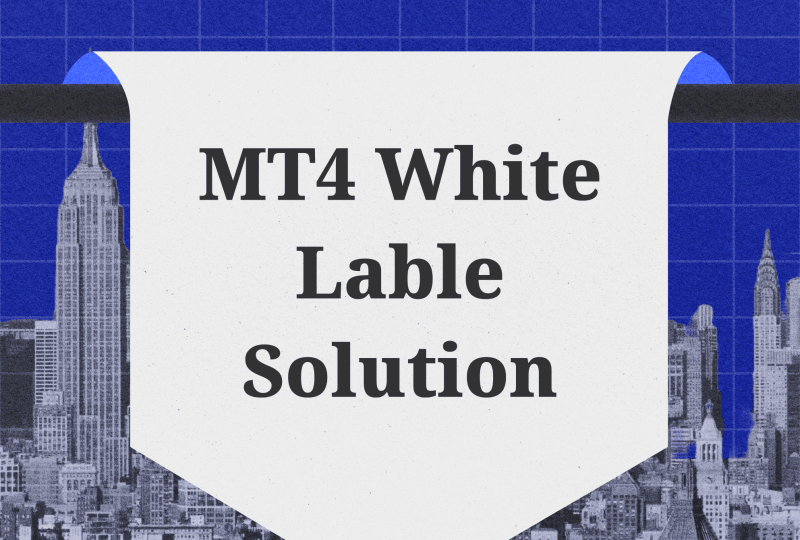 What Is MT4 White Label Solution? Is It Still Accessible?
