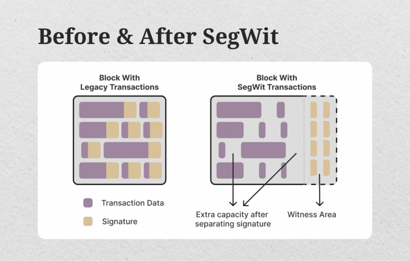 before and after segwit