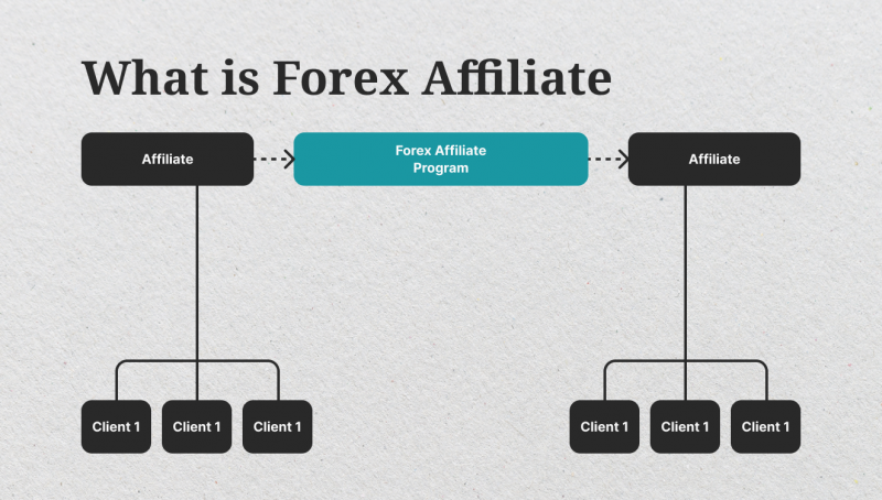 what-is-a-forex-affiliate