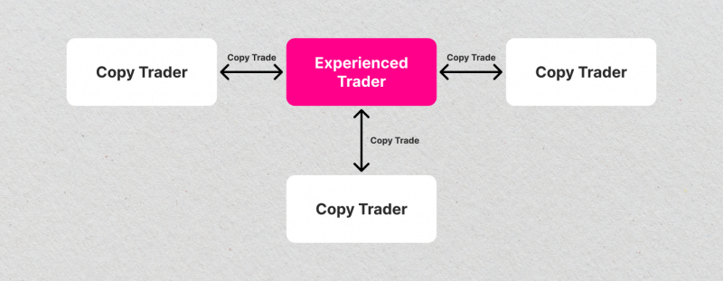 copy trading basics