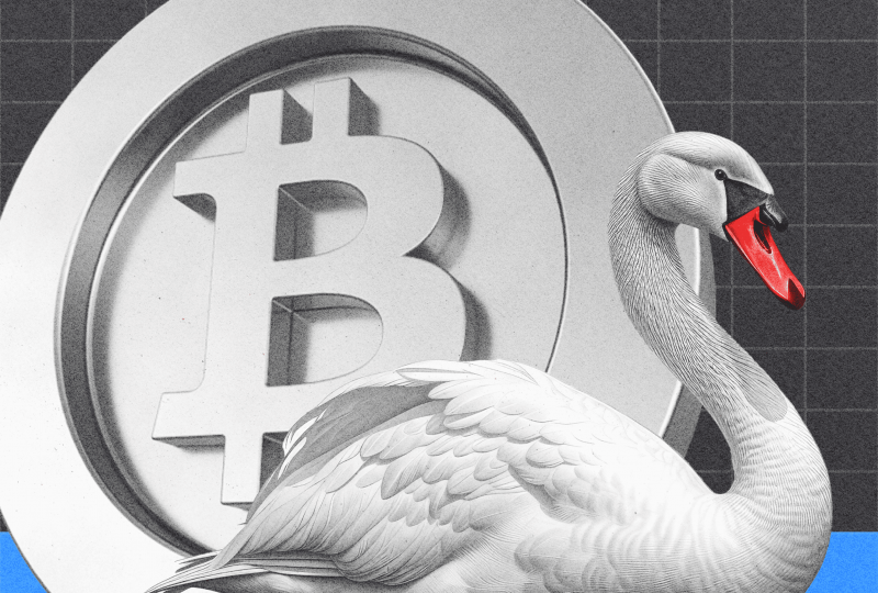 How Does Swan Bitcoin Work