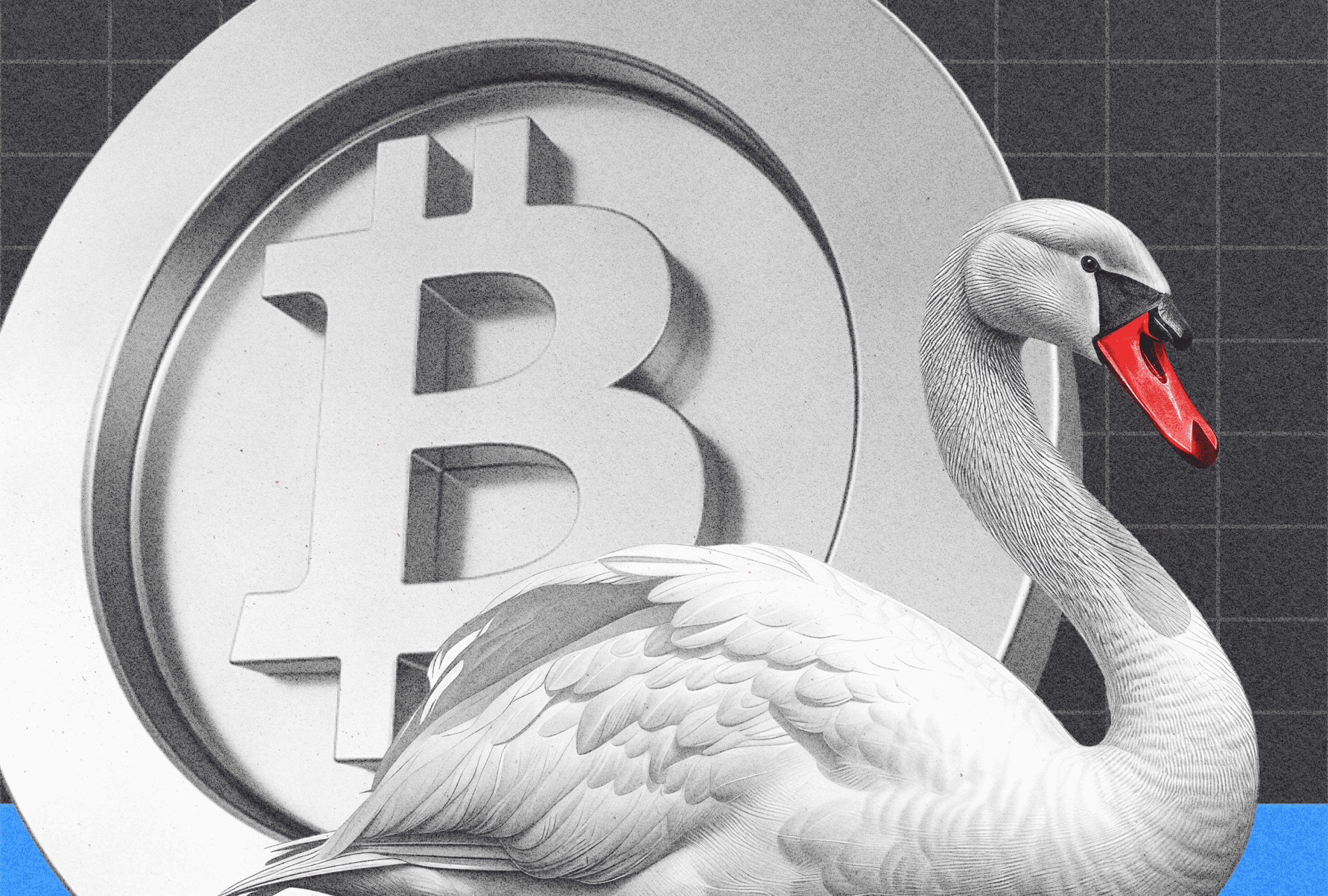 What is Swan Bitcoin, and How Does it Work?