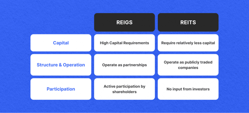 REIG vs REIT