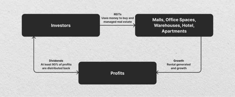 Real Estate Investment Trust