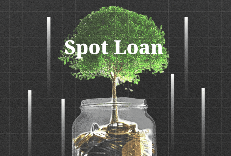 What is Spot Loan, And How Does It Work?