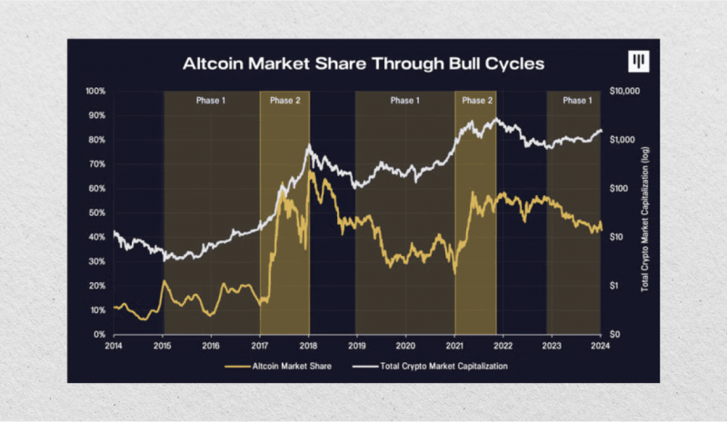 Altcoin Market Share Through Bull Cycles Chart by Pantera Capital