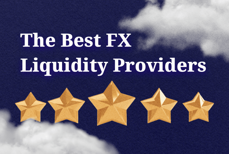 10 Best Liquidity Providers in 2024 and Beyond
