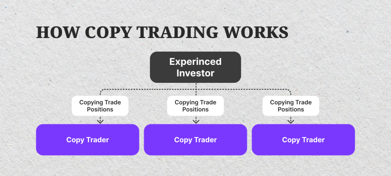 copy trading working principles copy trading working principles