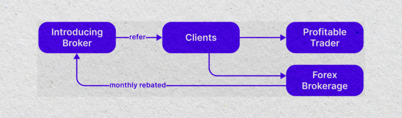the concept of IBs work