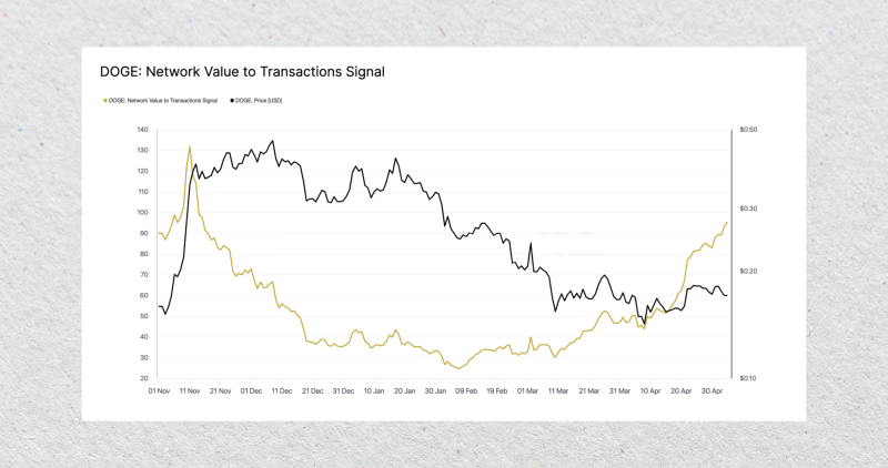 Transactions and Network Efficiency of DOGE